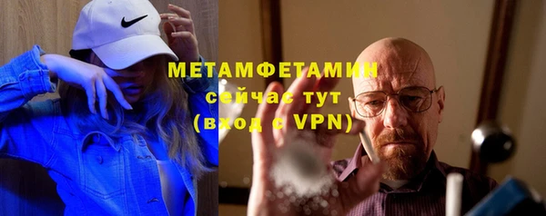 шишки Сатка