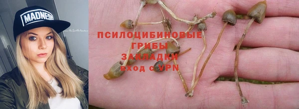 спайс Алексеевка