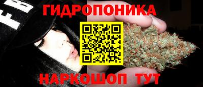 PSILOCYBIN Абинск