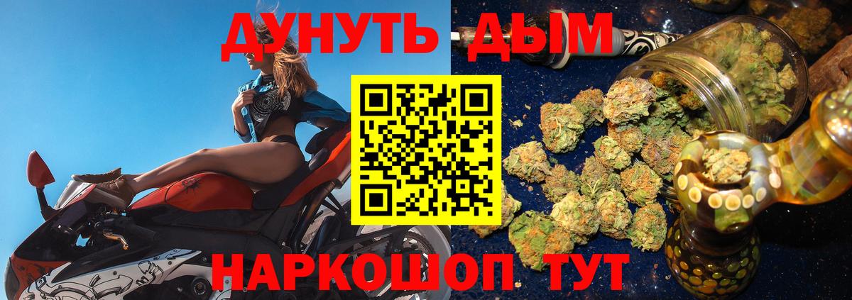 Каннабис сатива Алексеевка